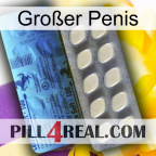 Großer Penis 34